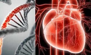 بیماری قلبی ارثی بیماری‌های ژنتیکی قلبی مشکلات ارثی قلب پیشگیری از بیماری‌های قلبی علائم بیماری‌های قلبی ارثی